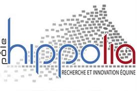 Enquête à destination des professionnels de la filière équine (course, élevage, sport...)