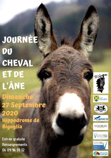 Journée du cheval et de l'âne