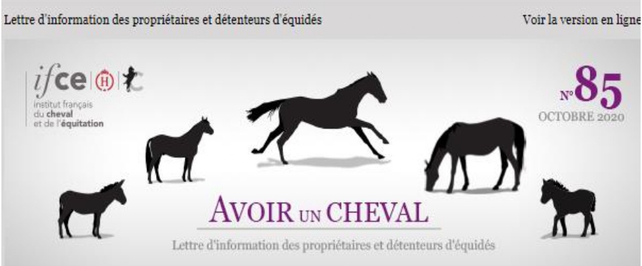 Lettre d'information de l'IFCE
