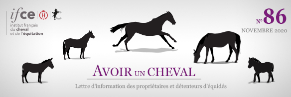 Lettre d'information de l'IFCE