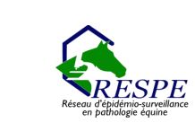 Reproduction - monte : Saison 2020 - Bilan annuel