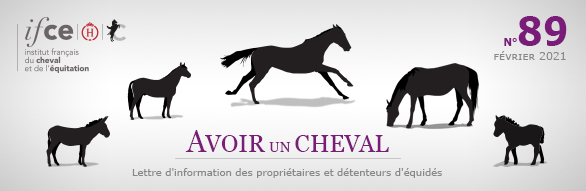 Avoir un cheval