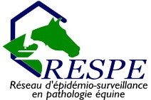 Rapport d'information sur la reproduction équine