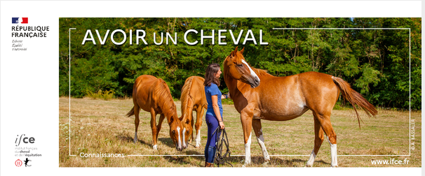 Lettre d'information "Avoir un cheval" juin 2021