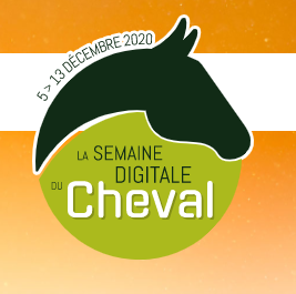 Live du vendredi soir, Semaine digitale du cheval